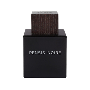 ادوپرفیوم مردانه پنسیس مدل Encre Noire حجم100میل